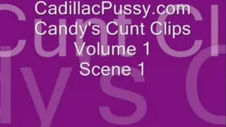 Candy's Cunt Clips Volume 1 Scene 1