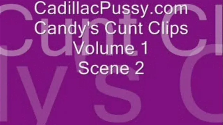 Candy's Cunt Clips Volume 1 Scene 2