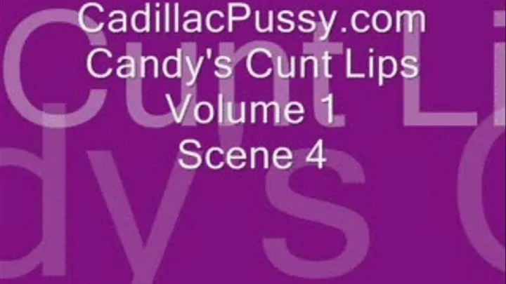 Candy's Cunt Clips Volume 1 Scene 4