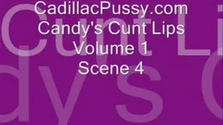 Candy's Cunt Clips Volume 1 Scene 4