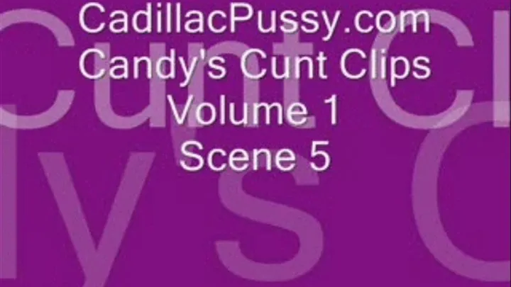 Candy's Cunt Clips Volume 1 Scene 5