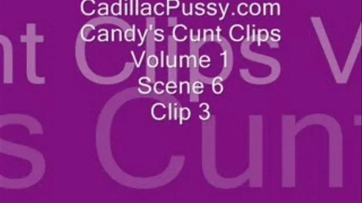 Candy's Cunt Clips Volume 1 Scene 6 Clip 3