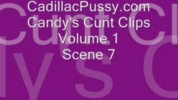 Candy's Cunt Clips Volume 1 Scene 7