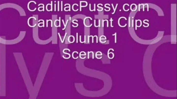 Candy's Cunt Clips Volume 1 Scene 6