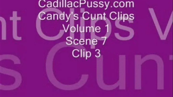 Candy's Cunt Clips Volume 1 Scene 7 Clip 3