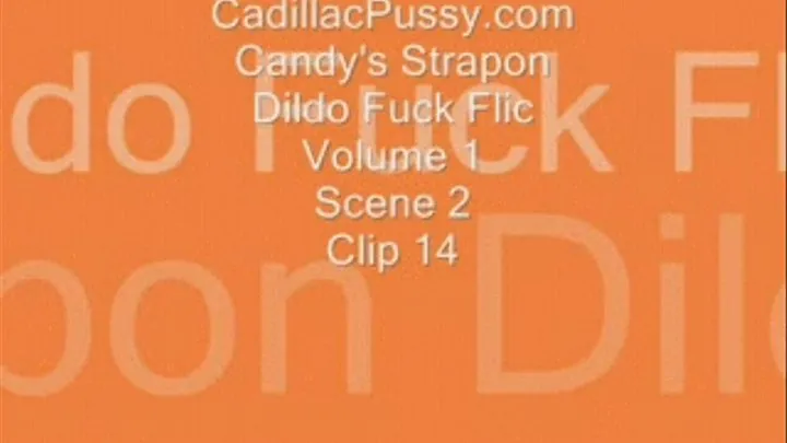 Candy's Strapon Dildo Fuck Flic Volume 1 Scene 2 Clip 14