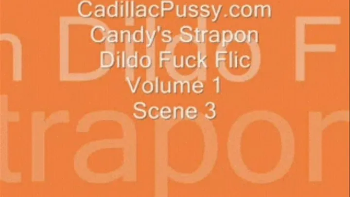 Candy's Strapon Dildo Fuck Flic Volume 1 Scene 3