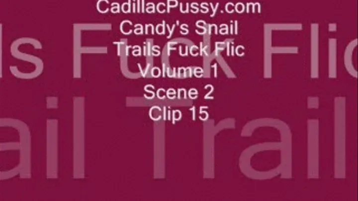 Candy's Snail Trails Fuck Flic Volume 1 Scene 2 Clip 15