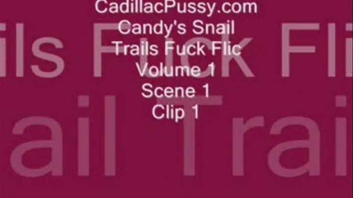 Candy's Snail Trails Fuck Flic Volume 1 Scene 1 Clip 1