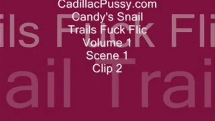 Candy's Snail Trails Fuck Flic Volume 1 Scene 1 Clip 2