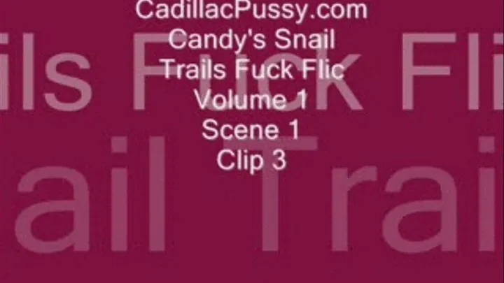 Candy's Snail Trails Fuck Flic Volume 1 Scene 1 Clip 3