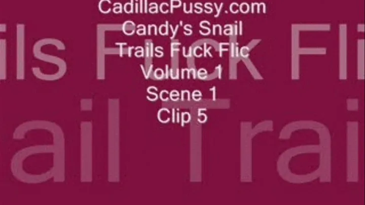 Candy's Snail Trails Fuck Flic Volume 1 Scene 1 Clip 5