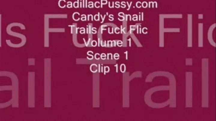 Candy's Snail Trails Fuck Flic Volume 1 Scene 1 Clip 10