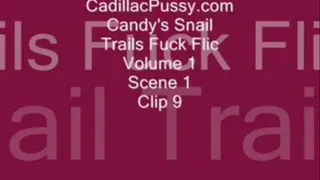 Candy's Snail Trails Fuck Flic Volume 1 Scene 1 Clip 9