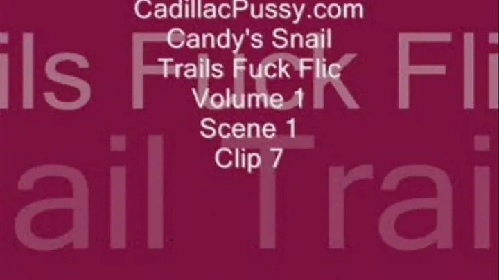 Candy's Snail Trails Fuck Flic Volume 1 Scene 1 Clip 7