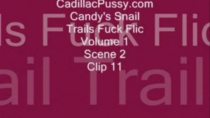 Candy's Snail Trails Fuck Flic Volume 1 Scene 2 Clip 11