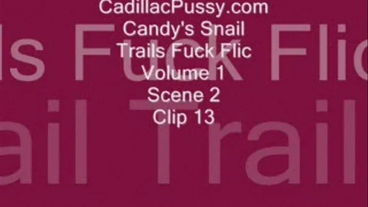 Candy's Snail Trails Fuck Flic Volume 1 Scene 2 Clip 13