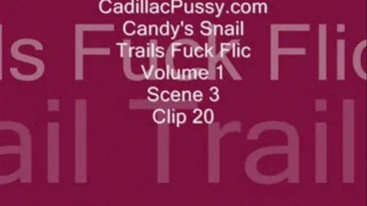 Candy's Snail Trails Fuck Flic Volume 1 Scene 3 Clip 20