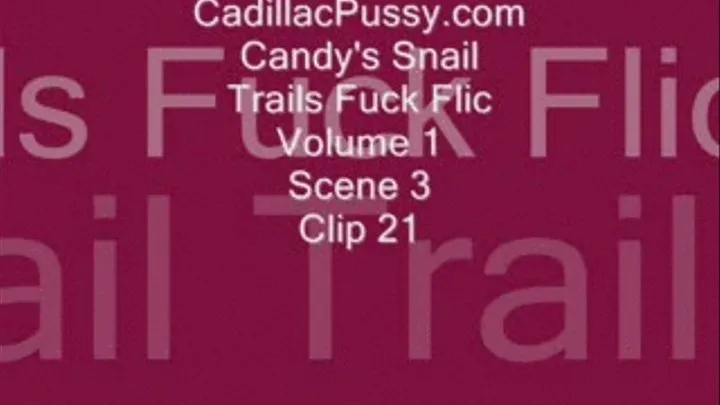 Candy's Snail Trails Fuck Flic Volume 1 Scene 3 Clip 21