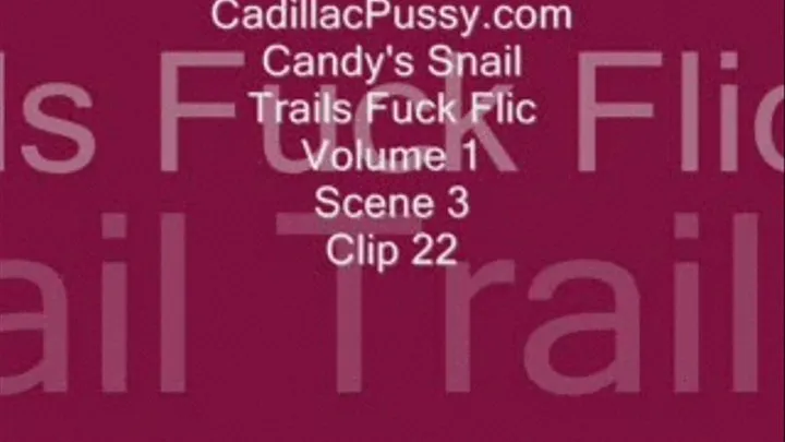 Candy's Snail Trails Fuck Flic Volume 1 Scene 3 Clip 22