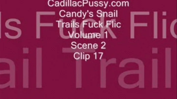 Candy's Snail Trails Fuck Flic Volume 1 Scene 2 Clip 17