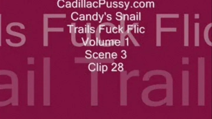 Candy's Snail Trails Fuck Flic Volume 1 Scene 3 Clip 28