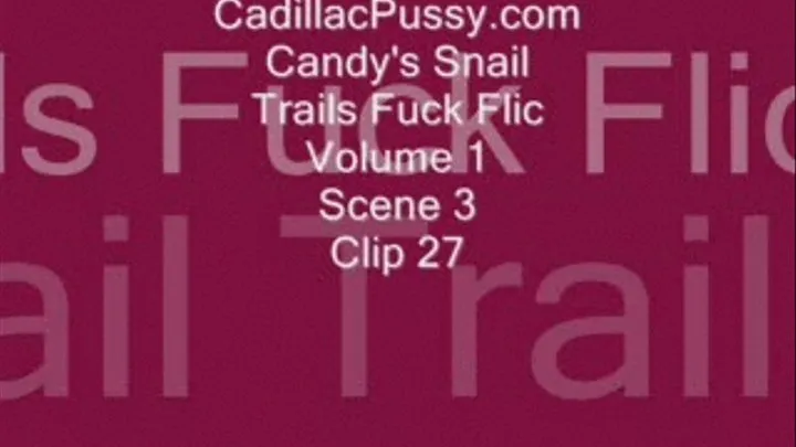 Candy's Snail Trails Fuck Flic Volume 1 Scene 3 Clip 27