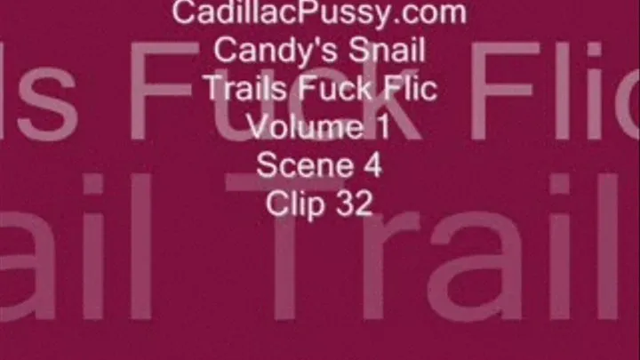 Candy's Snail Trails Fuck Flic Volume 1 Scene 4 Clip 32