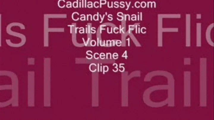 Candy's Snail Trails Fuck Flic Volume 1 Scene 4 Clip 35