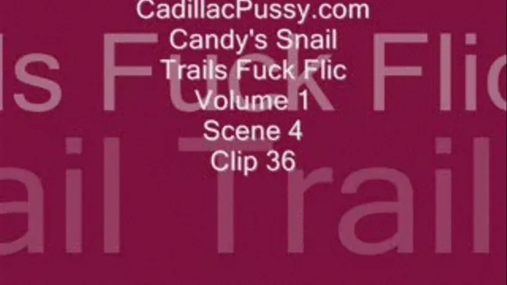 Candy's Snail Trails Fuck Flic Volume 1 Scene 4 Clip 36