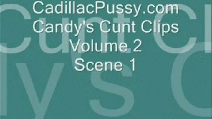 Candy's Cunt Clips Volume 2 Scene 1