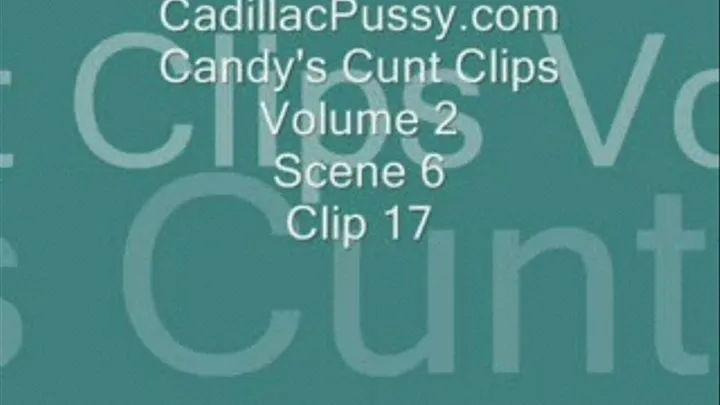 Candy's Cunt Clips Volume 2 Scene 6 Clip 17