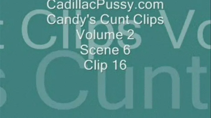 Candy's Cunt Clips Volume 2 Scene 6 Clip 16