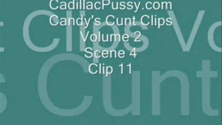 Candy's Cunt Clips Volume 2 Scene 4 Clip 11