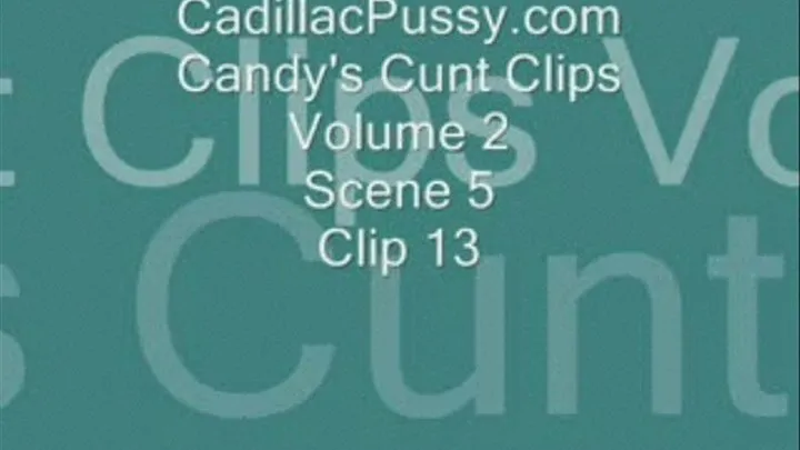 Candy's Cunt Clips Volume 2 Scene 5 Clip 13