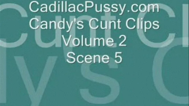 Candy's Cunt Clips Volume 2 Scene 5