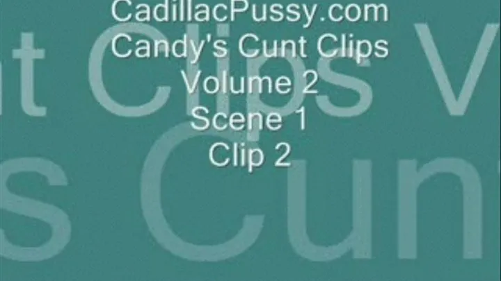 Candy's Cunt Clips Volume 2 Scene 1 Clip 2