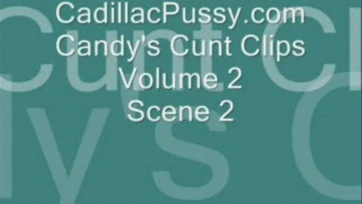 Candy's Cunt Clips Volume 2 Scene 2