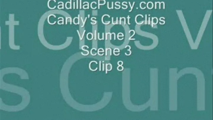 Candy's Cunt Clips Volume 2 Scene 3 Clip 8