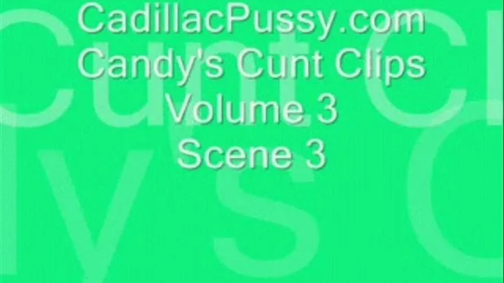 Candy's Cunt Clips Volume 3 Scene 3