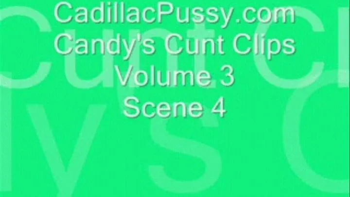 Candy's Cunt Clips Volume 3 Scene 4