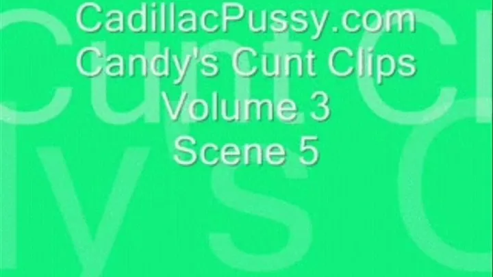 Candy's Cunt Clips Volume 3 Scene 5