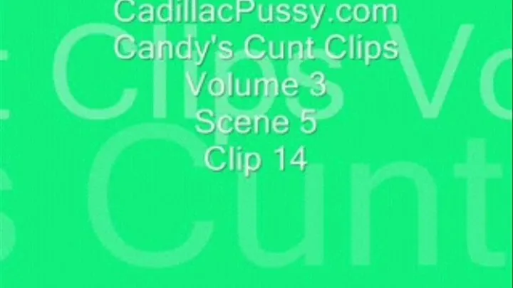 Candy's Cunt Clips Volume 3 Scene 5 Clip 14