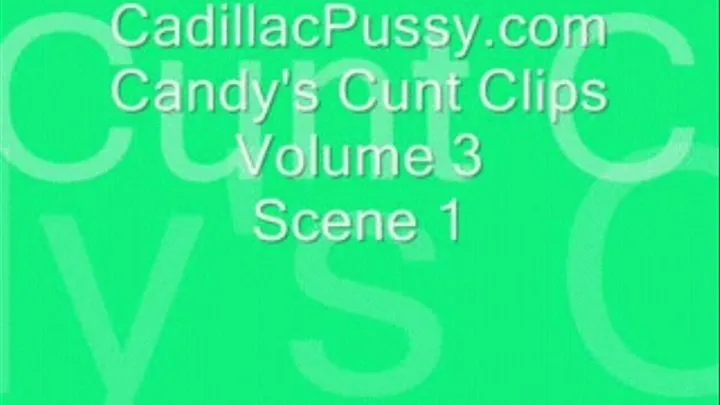 Candy's Cunt Clips Volume 3 Scene 1