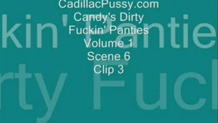 Candy's Dirty Fuckin' Panties Volume 1 Scene 6 Clip 3