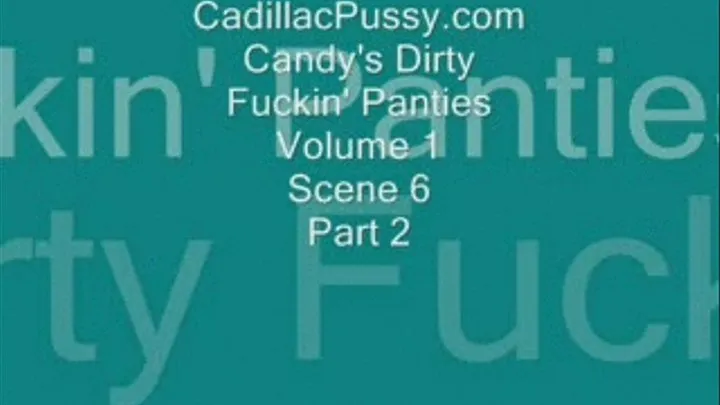 Candy's Dirty Fuckin' Panties Volume 1 Scene 6 Part 2