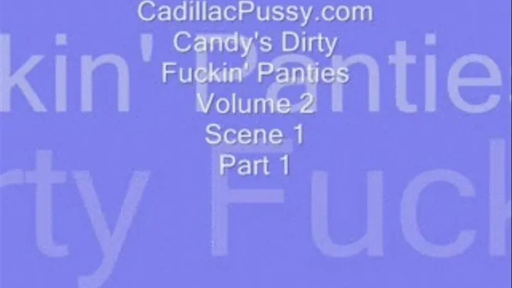 Candy's Dirty Fuckin' Panties Volume 2 Scene 1 Part 1