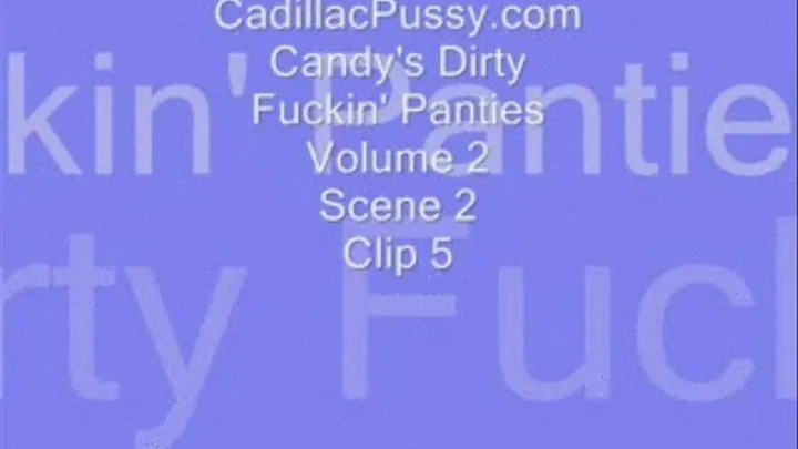 Candy's Dirty Fuckin' Panties Volume 2 Scene 2 Clip 5