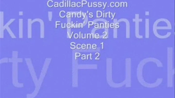 Candy's Dirty Fuckin' Panties Volume 2 Scene 1 Part 2