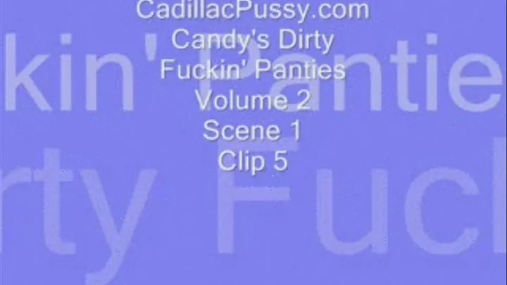 Candy's Dirty Fuckin' Panties Volume 2 Scene 1 Clip 5